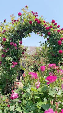 横浜イングリッシュガーデンに投稿された画像（2023/4/28）