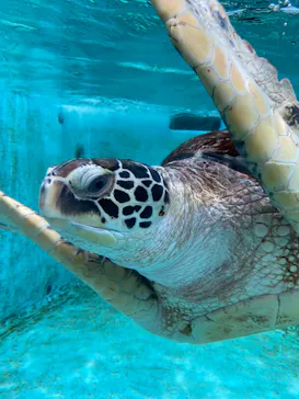 仙台うみの杜水族館に投稿された画像（2023/4/28）