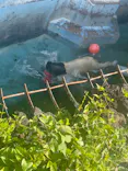 天王寺動物園に投稿された画像（2023/4/28）