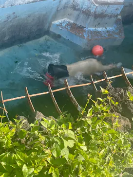 天王寺動物園に投稿された画像（2023/4/28）