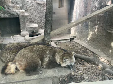 天王寺動物園に投稿された画像（2023/4/28）