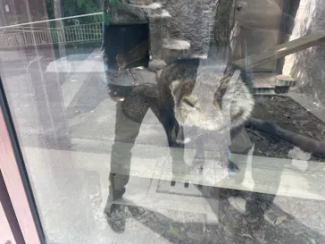 天王寺動物園に投稿された画像（2023/4/28）