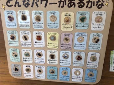 ストーンミュージアム博石館に投稿された画像（2023/4/28）