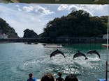 下田海中水族館に投稿された画像（2023/4/28）