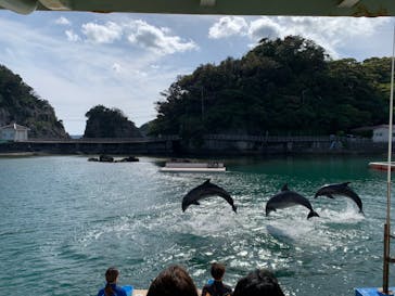 下田海中水族館に投稿された画像（2023/4/28）