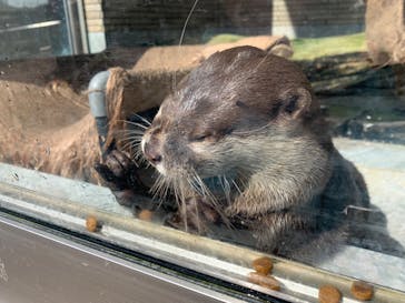 下田海中水族館に投稿された画像（2023/4/28）