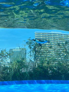 サンシャイン水族館に投稿された画像（2023/4/28）