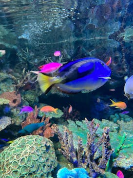 サンシャイン水族館に投稿された画像（2023/4/28）