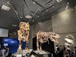 特別展「恐竜博2023」に投稿された画像（2023/4/28）
