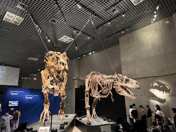 特別展「恐竜博2023」に投稿された画像（2023/4/28）