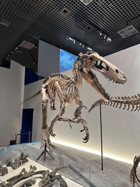 特別展「恐竜博2023」に投稿された画像（2023/4/28）