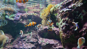 サンシャイン水族館に投稿された画像（2023/4/21）