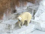 天王寺動物園に投稿された画像（2023/4/28）