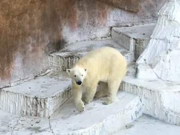 天王寺動物園に投稿された画像（2023/4/28）