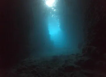 武藤潜水に投稿された画像（2023/4/28）