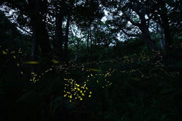 石垣島波商店に投稿された画像（2023/4/28）