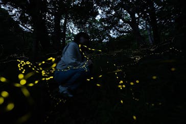 石垣島波商店に投稿された画像（2023/4/28）