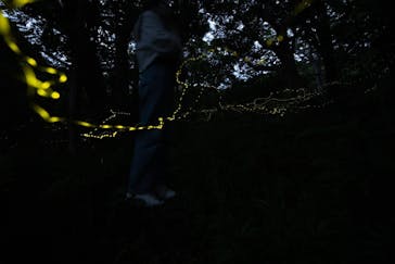 石垣島波商店に投稿された画像（2023/4/28）