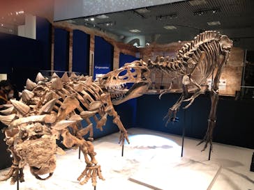 特別展「恐竜博2023」に投稿された画像（2023/4/28）