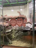 仙台うみの杜水族館に投稿された画像（2023/4/28）