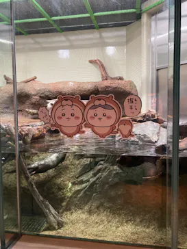 仙台うみの杜水族館に投稿された画像（2023/4/28）