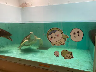 仙台うみの杜水族館に投稿された画像（2023/4/28）