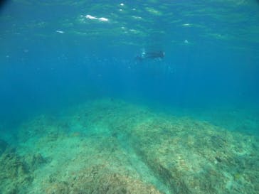 沖縄マリンサービス碧に投稿された画像（2023/4/28）