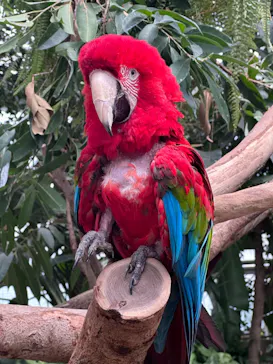 神戸どうぶつ王国に投稿された画像（2023/4/28）