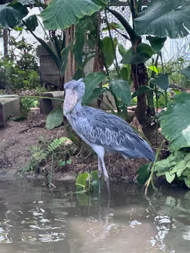 神戸どうぶつ王国に投稿された画像（2023/4/28）