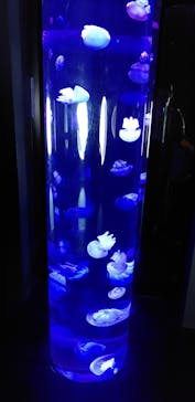 サンシャイン水族館に投稿された画像（2023/4/28）