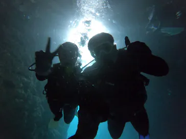 武藤潜水に投稿された画像（2023/4/29）