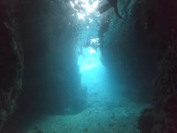 武藤潜水に投稿された画像（2023/4/29）