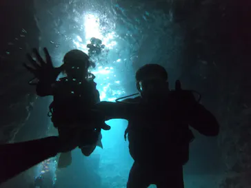 武藤潜水に投稿された画像（2023/4/29）