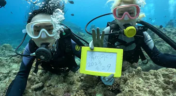 武藤潜水に投稿された画像（2023/4/29）