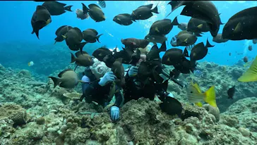 武藤潜水に投稿された画像（2023/4/29）