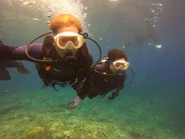 武藤潜水に投稿された画像（2023/4/29）