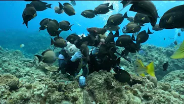 武藤潜水に投稿された画像（2023/4/29）