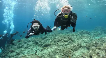 武藤潜水に投稿された画像（2023/4/29）