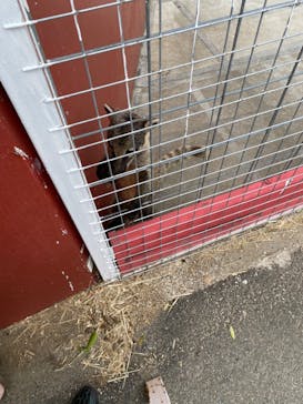 ワールド牧場に投稿された画像（2023/4/29）