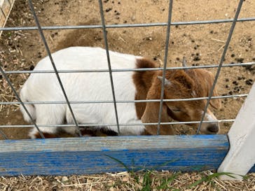 ワールド牧場に投稿された画像（2023/4/29）