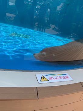 サンシャイン水族館に投稿された画像（2023/4/29）