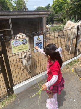 伊豆シャボテン動物公園に投稿された画像（2023/4/29）