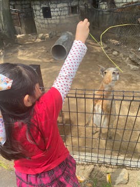 伊豆シャボテン動物公園に投稿された画像（2023/4/29）