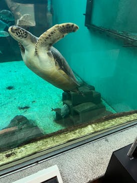 株式会社Gに投稿された画像（2023/4/29）