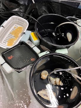 アクアマリンふくしまに投稿された画像（2023/4/29）