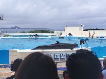 沖縄美ら海水族館に投稿された画像（2023/4/29）