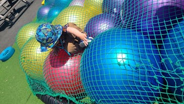 伊豆ぐらんぱる公園に投稿された画像（2023/4/29）