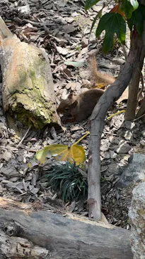 神戸どうぶつ王国に投稿された画像（2023/4/29）