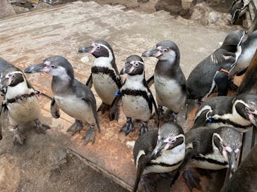 ゼロ距離水族館 伊勢シーパラダイスに投稿された画像（2023/4/29）
