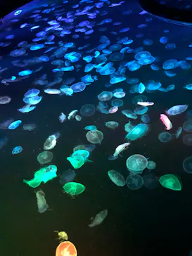 すみだ水族館に投稿された画像（2023/4/29）